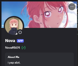 Nova Chatbot Assistant